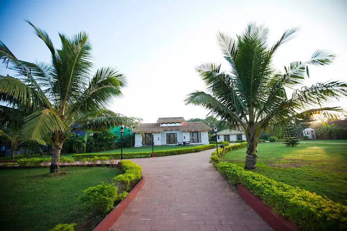 La Calypso Hotels
